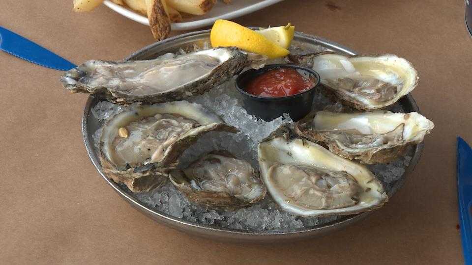 Over 100 sick after oyster festival in Ocean City
