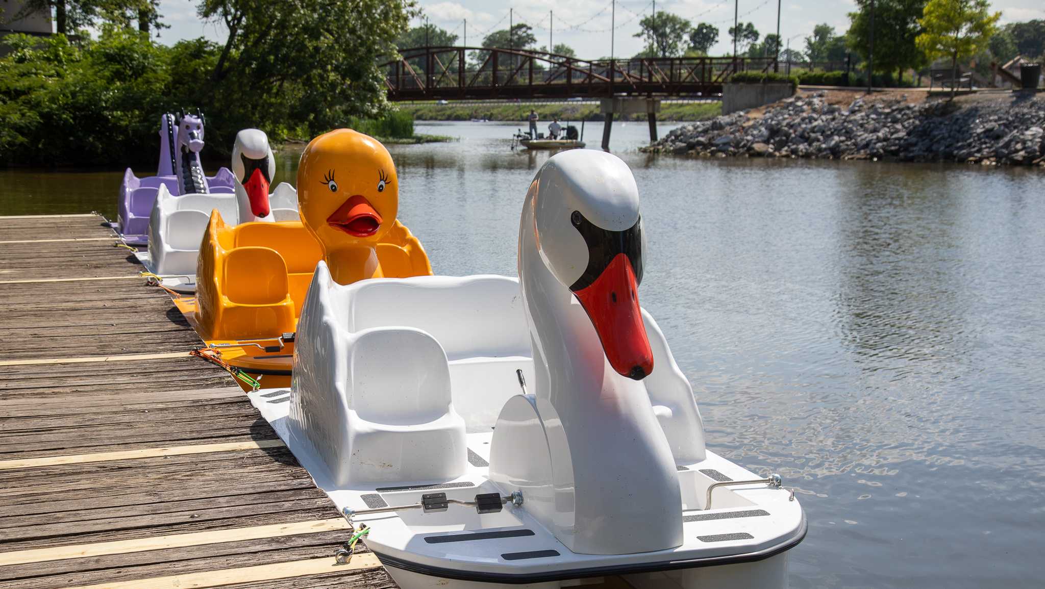 Gadsden to offer pedal boat rentals this summer - Vimarsana News
