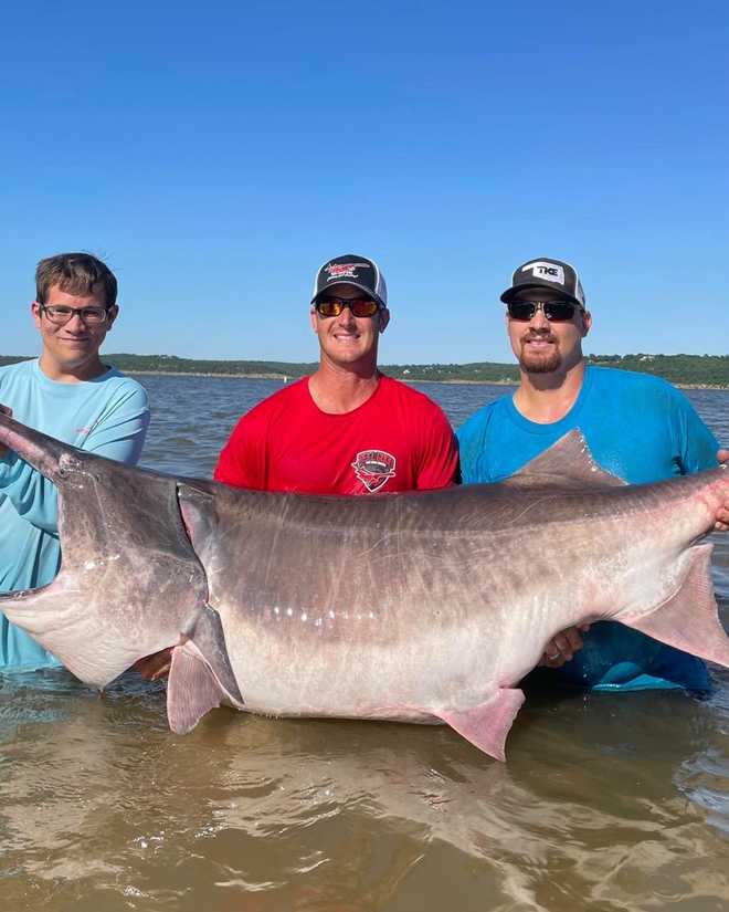 WORLD RECORD PADDLEFISH: World record 164-pound paddlefish caught