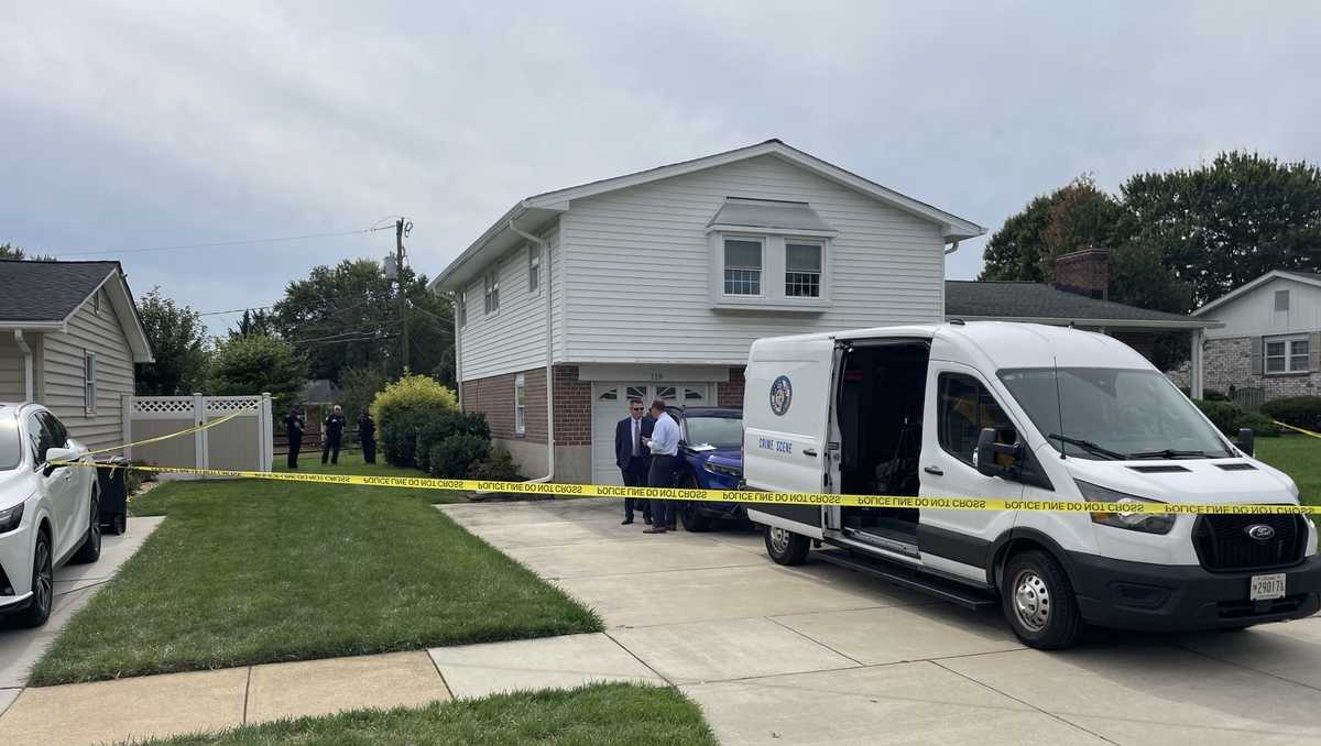 Assault News Image