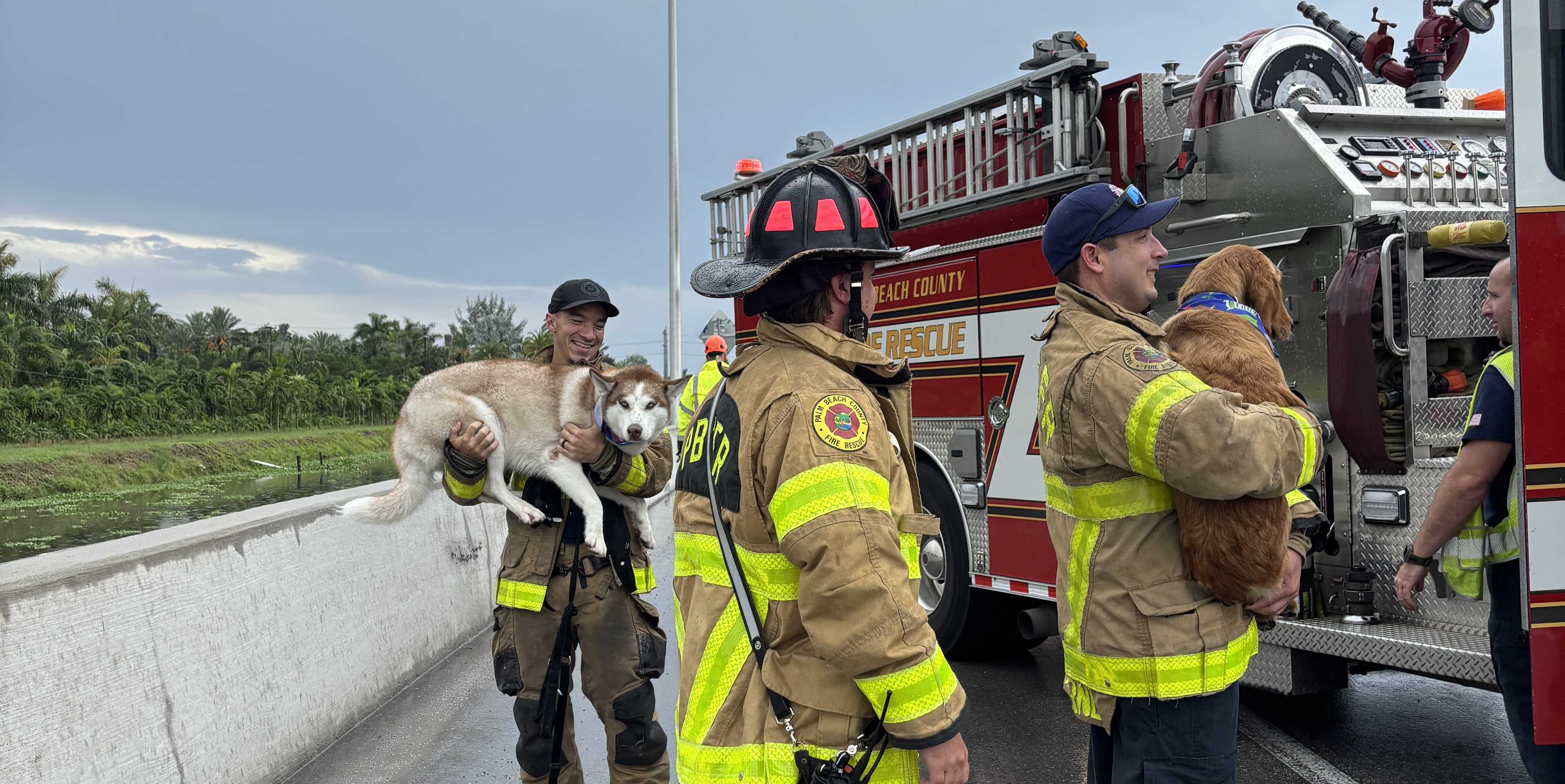 Florida fire rescue aid woman and - Palm Beach County Fire Rescue Aid Dogs After Crash Img 0276 Jpeg 68707b1137903