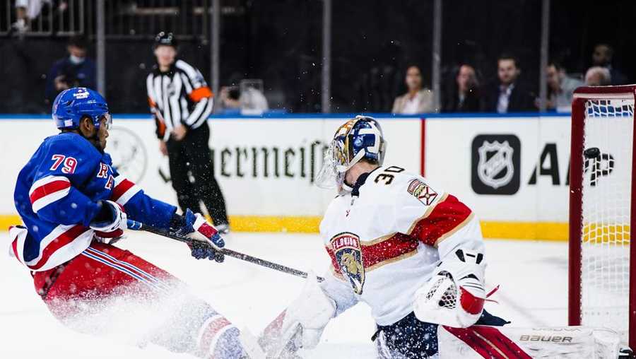 Florida Panthers: Evolution of the enforcer role