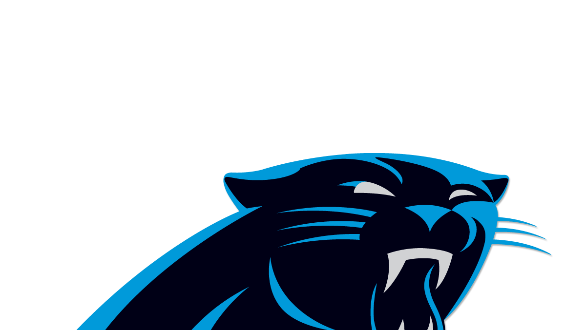 The Carolina Panthers Become the NFL's 29th Franchise