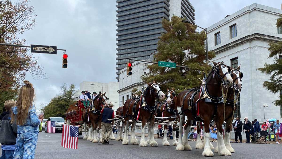 WATCH National Veteran's Day Parade in Downtown Birmingham