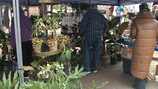 Paristown holds second annual garden show - Vimarsana News