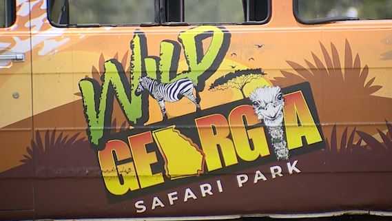 Metter Safari Park offers a walk on the wild side - Vimarsana News