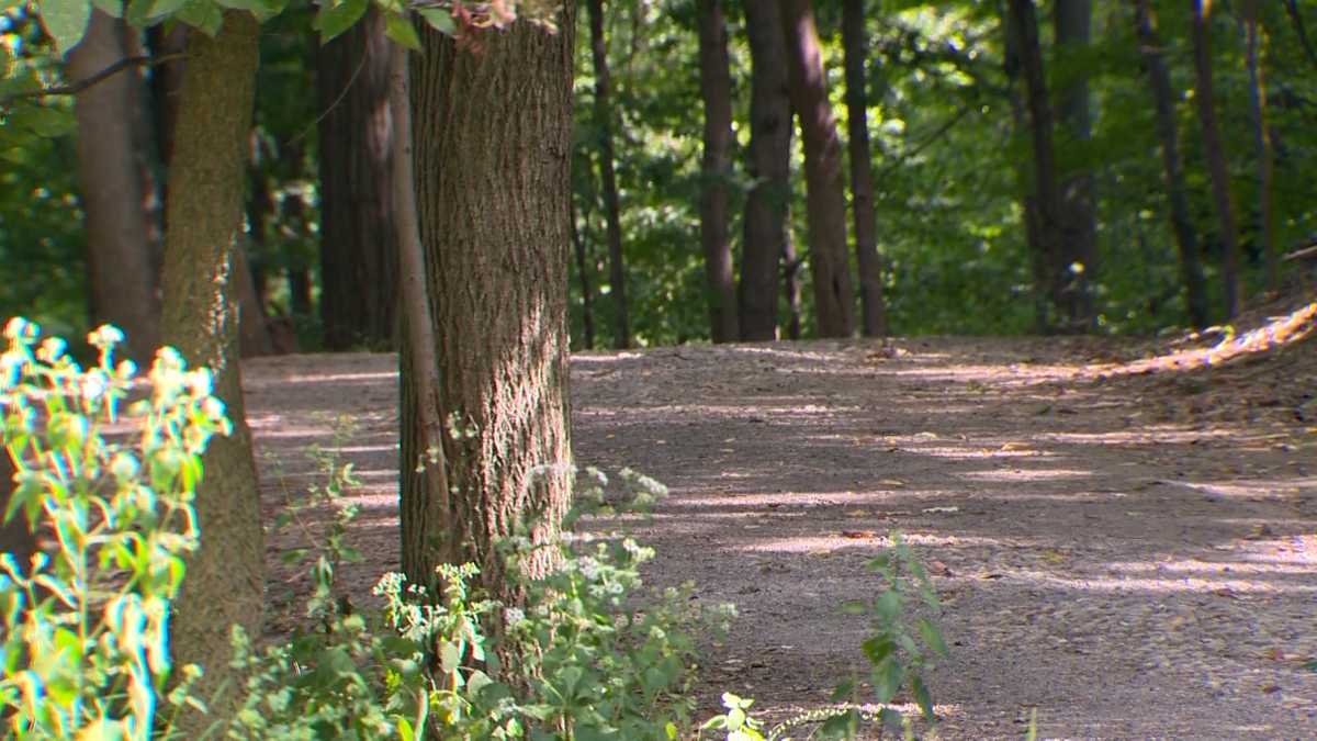 www.wtae.com