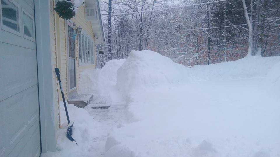 Photos Heavy Wet Snow Blankets Maine