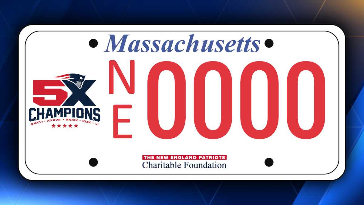 New England Patriots Super Bowl LI Champions Metal License Plate NFL –  Balmartsports