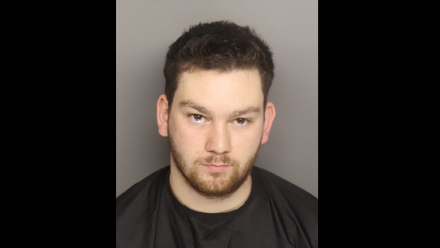 South Carolina: Man faces child sex charges, AG says - Vimarsana News