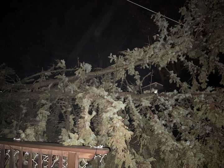 Trees down in Guthrie Center, Iowa trees down in guthrie center, iowa