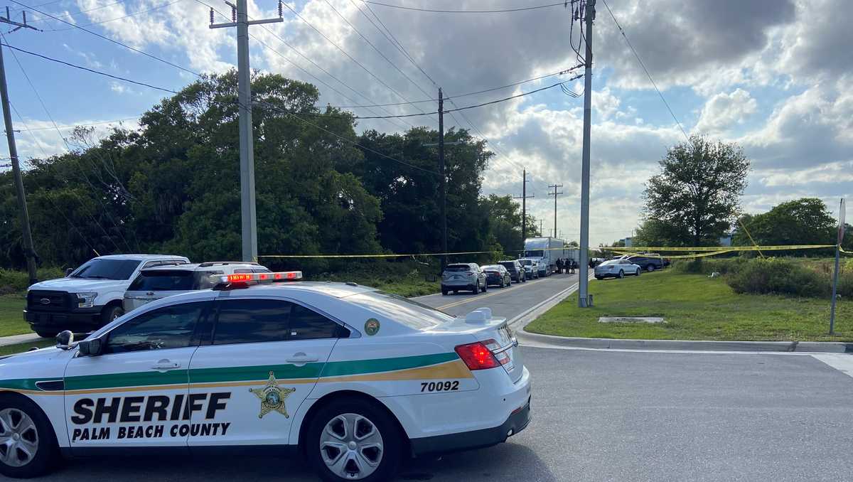 Florida man fleeing sheriff's deputies drowns in canal