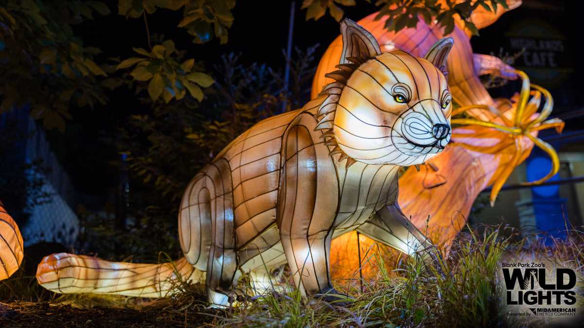 Wild Lights Festival to illuminate Blank Park Zoo this spring