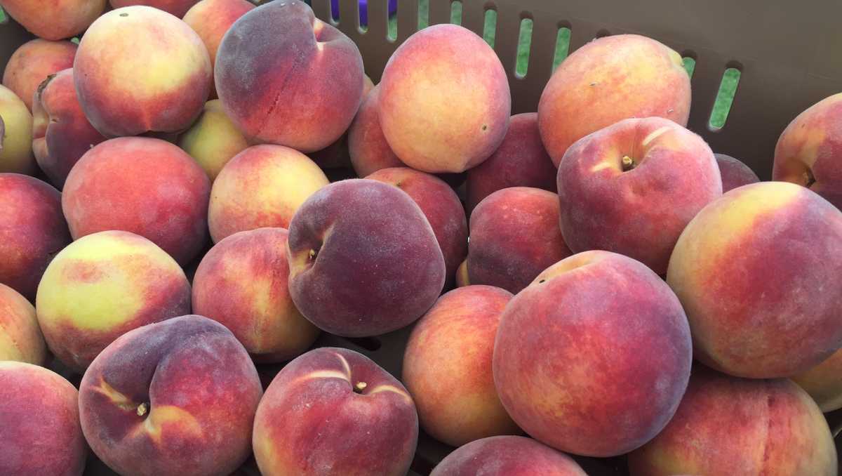 Johnson County Peach Festival kicks off this week