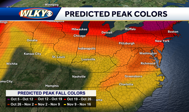 Here's when fall foliage is forecasted to peak around the Louisville area