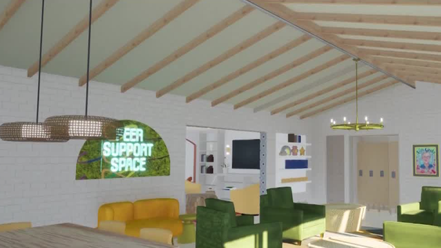 Peer Support Space to bring new mental health facility to Orlando - Vimarsana News