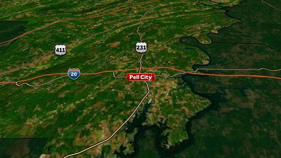 German auto supplier plans to expand operations at its Pell City facility