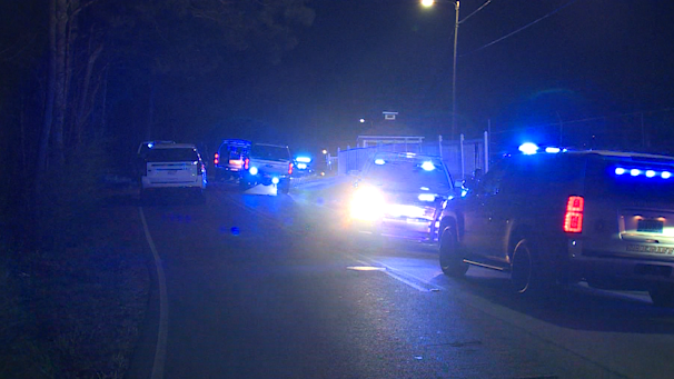 Man armed with hatchet who died after being shot by Pell City police ...