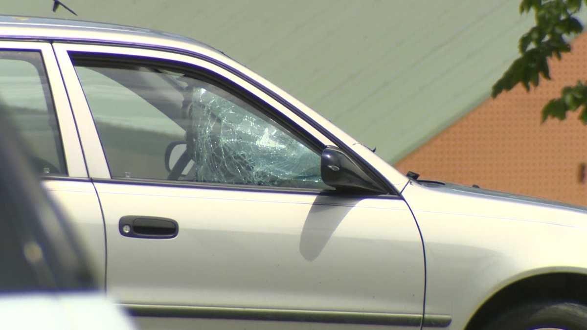 PENN HILLS Pedestrian hit, killed by car on Saltsburg Road