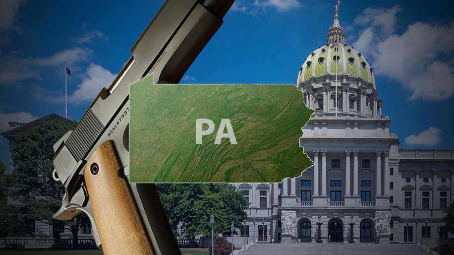 Pennsylvania gun owners fight for cause during Capitol rally