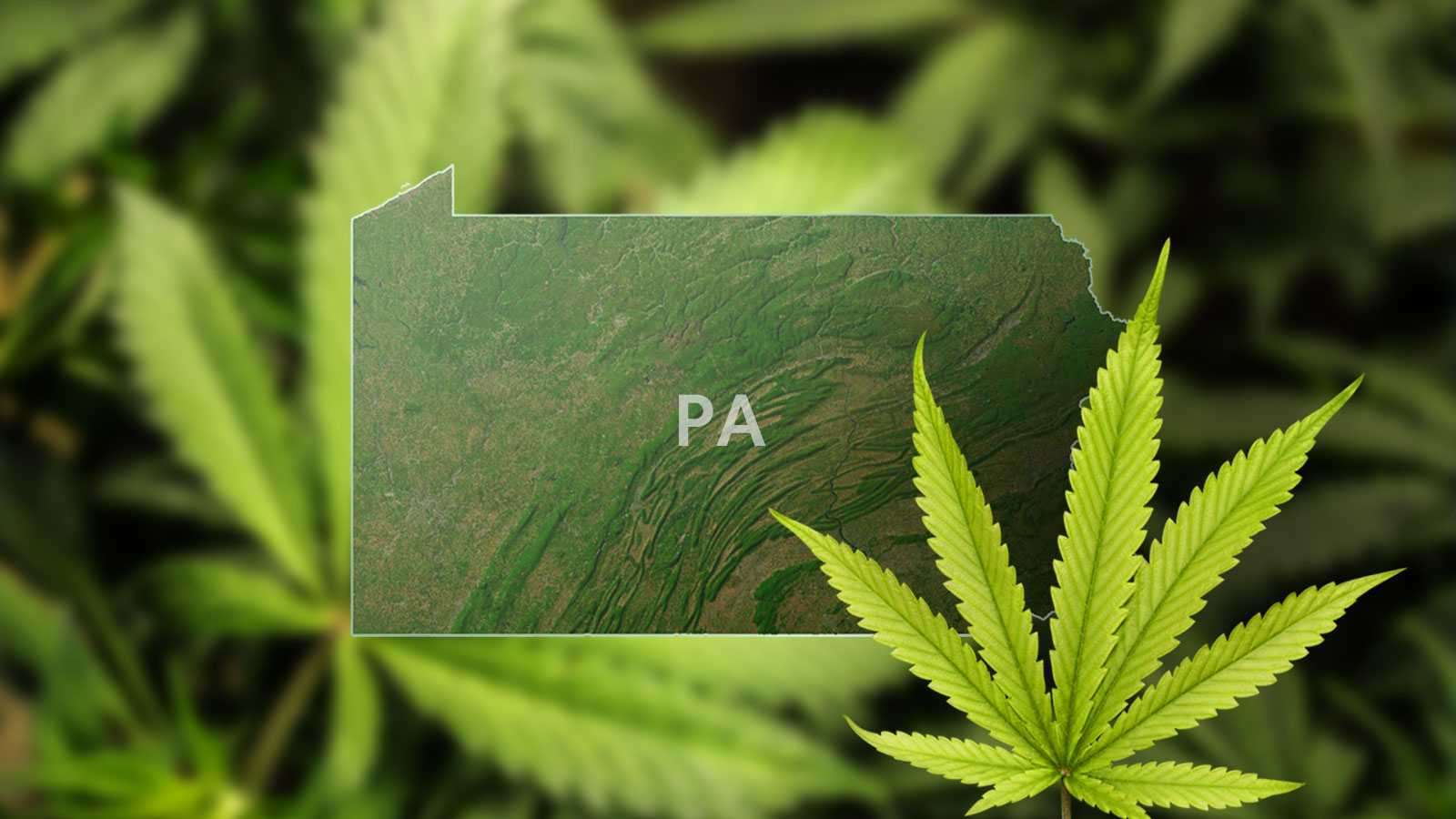 MARIJUANA LEGALIZATION Pennsylvania Senators Propose Legal   Pennsylvania Marijuana 1550855154 