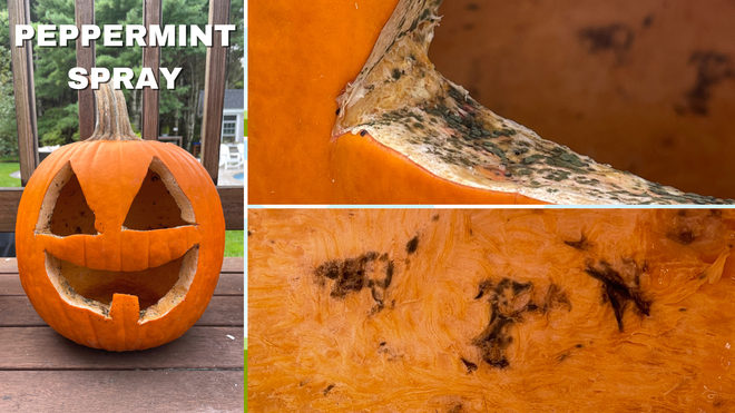 Rossen Reports: Keep pumpkins longer with these three hacks