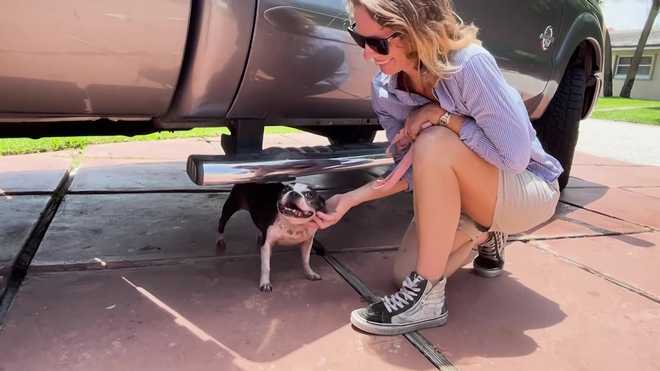 "it was like an ambush": two women report being assaulted while walking their dogs