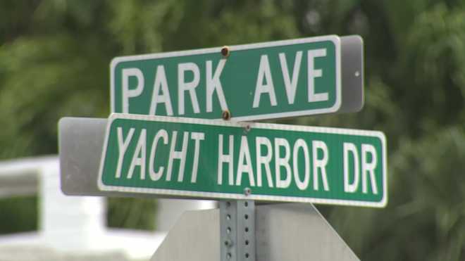 "it was like an ambush": two women report being assaulted while walking their dogs