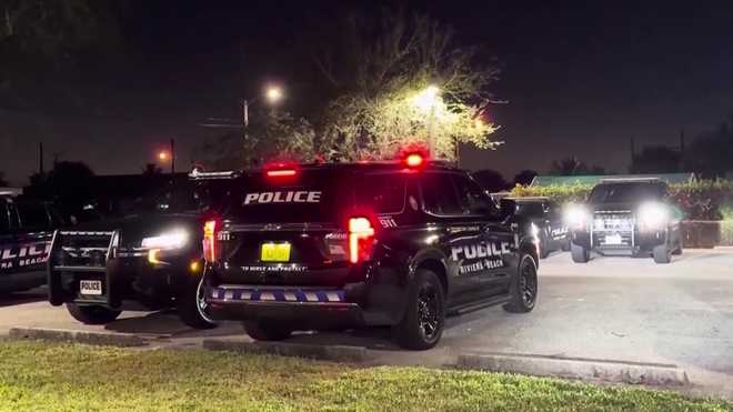 "it was like an ambush": two women report being assaulted while walking their dogs