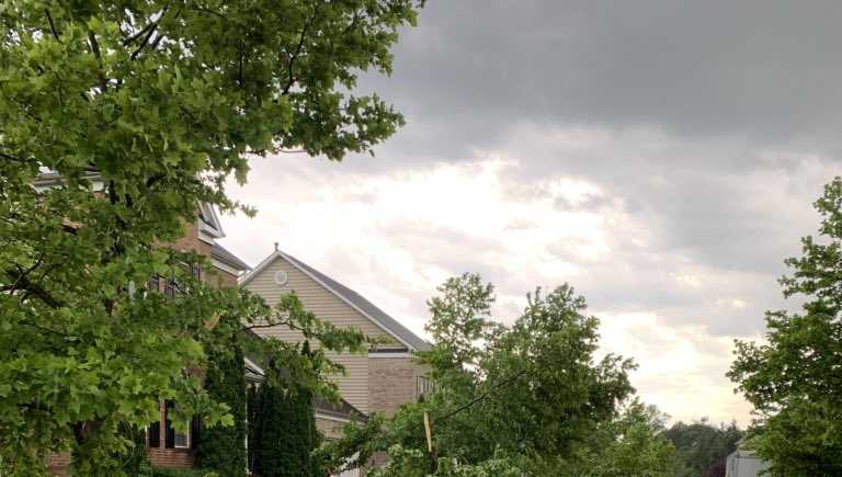 Storm damage across Maryland