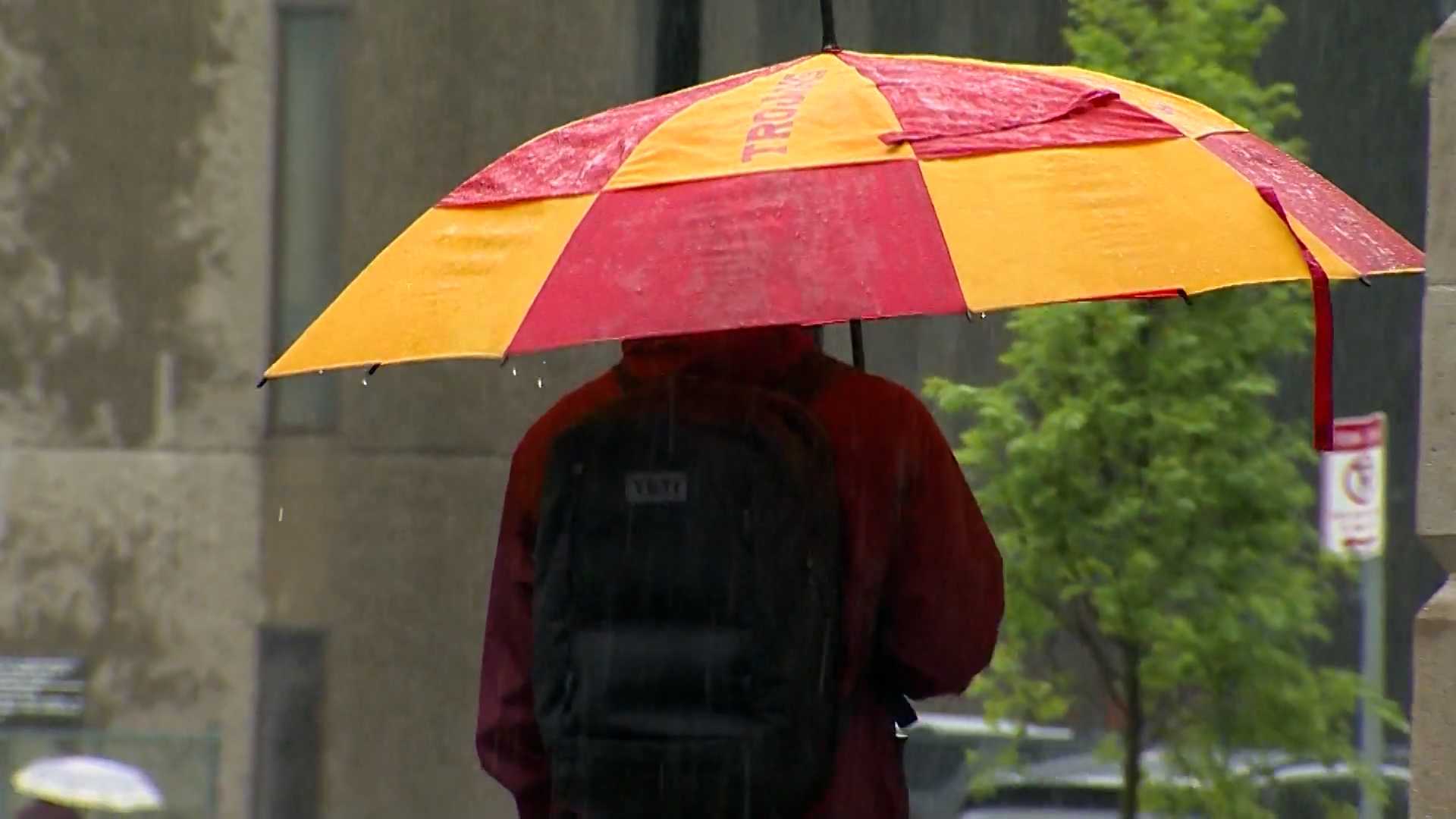 Massachusetts had particularly warm, wet spring, NWS says - Vimarsana News