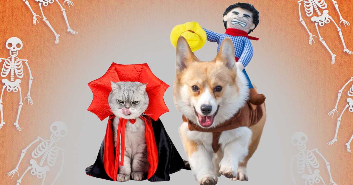 The 25 best Halloween costumes for your furry friend in 2023