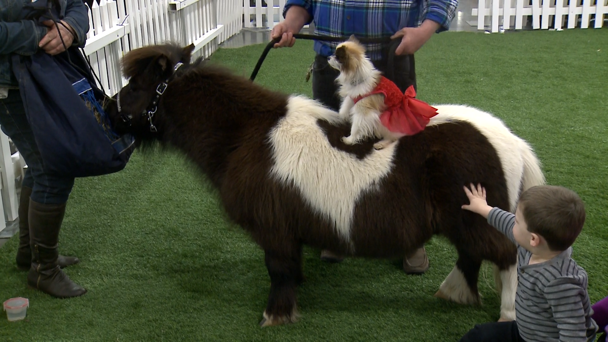 What to do in MKE: Milwaukee With Kids weekend picks Feb. 5-8