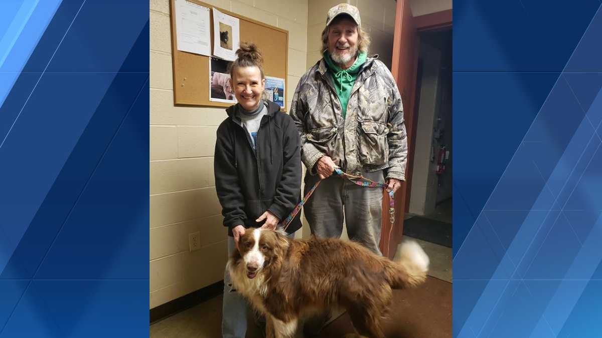 Hardin County animal shelter using facial recognition technology for