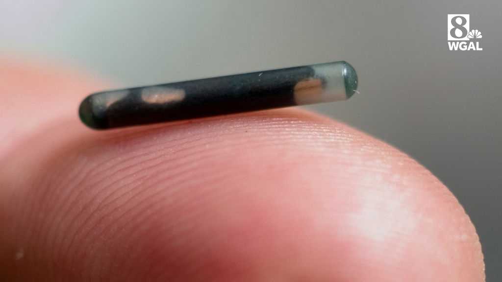 Pet microchip company closes - WGAL