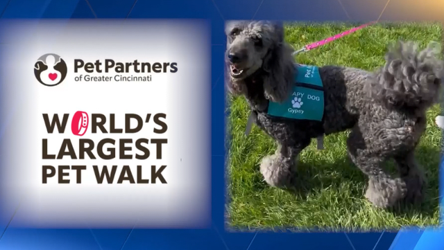Pet owners can take part in 'World's Largest Pet Walk' in Greater Cincinnati - WLWT