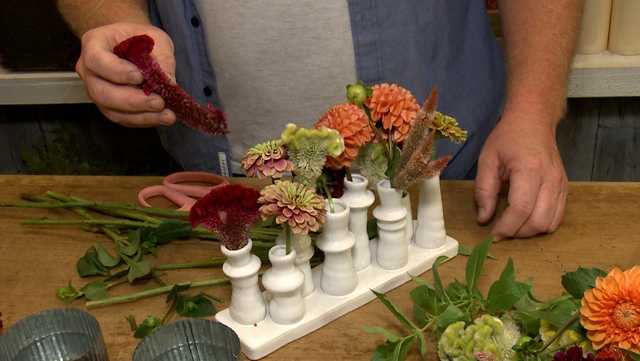 St. Matthews garden shop celebrating fall with planting tips, discounts - Vimarsana News