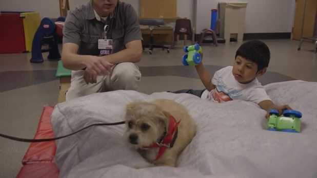 Special Pets Bring Smiles to Patients