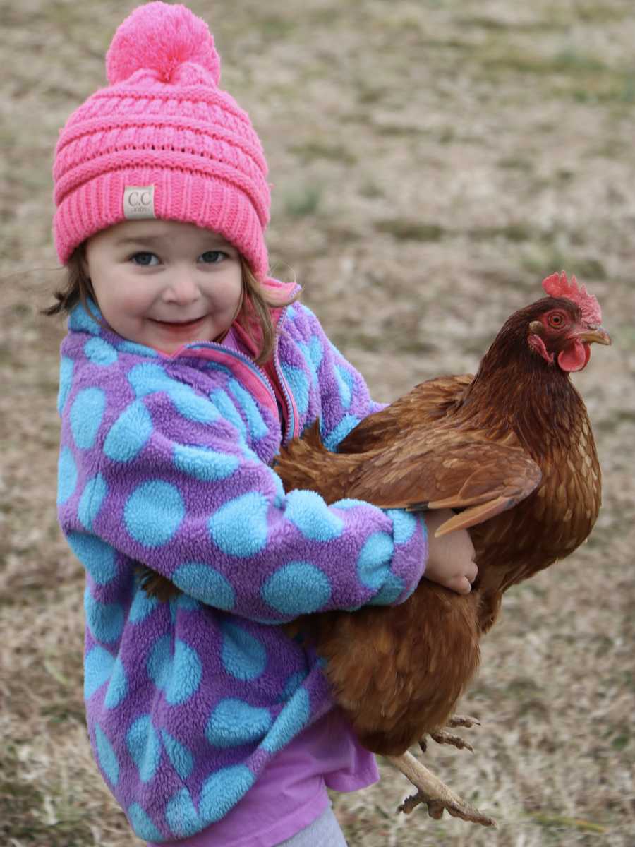 9 moments chickens made the cutest pets