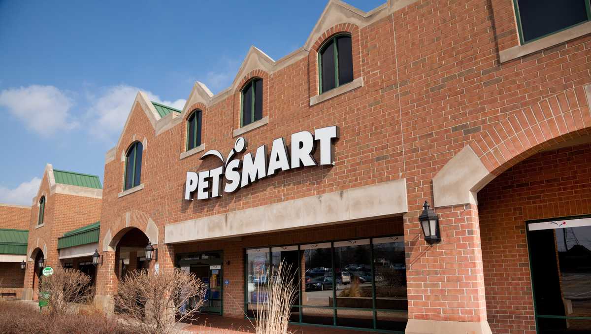 Beloved third dog to die during grooming at New Jersey(02)