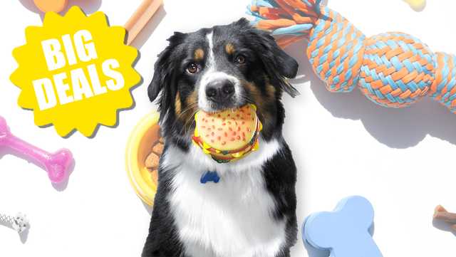 Earn 3x Treats Points during PetSmart's Anything for Dogs Month