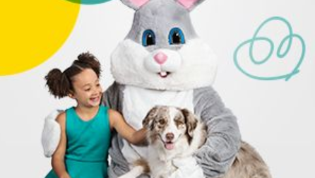 PetSmart bunny