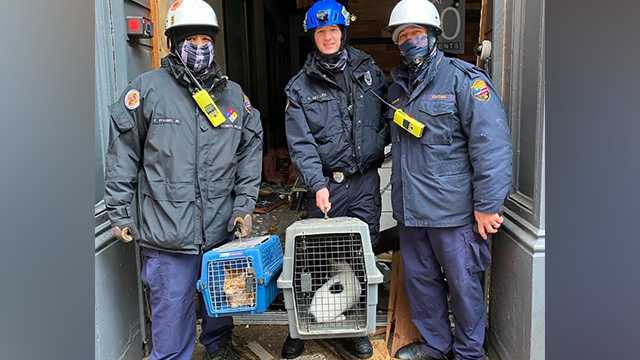 2 cats missing after Christmas Day explosion in Nashville reunited with owners