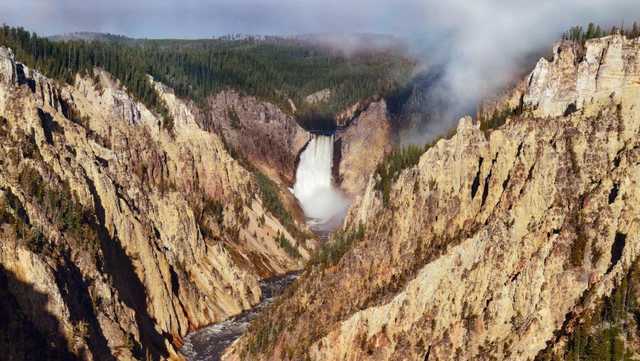 Yellowstone tourists put baby elk in their car for a drive - Vimarsana News