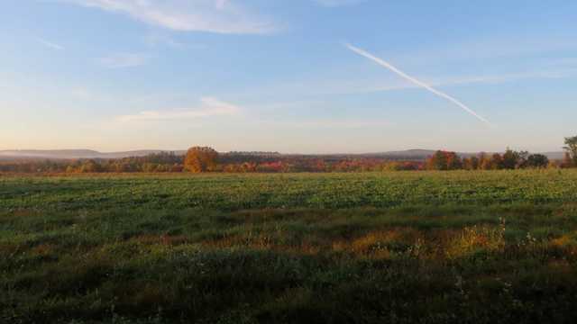 Former Maine farmland to become important bird habitat - Vimarsana News