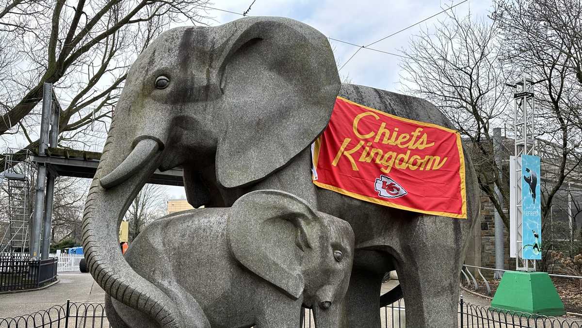 Share your photos: We want to see the pets of Chiefs Kingdom