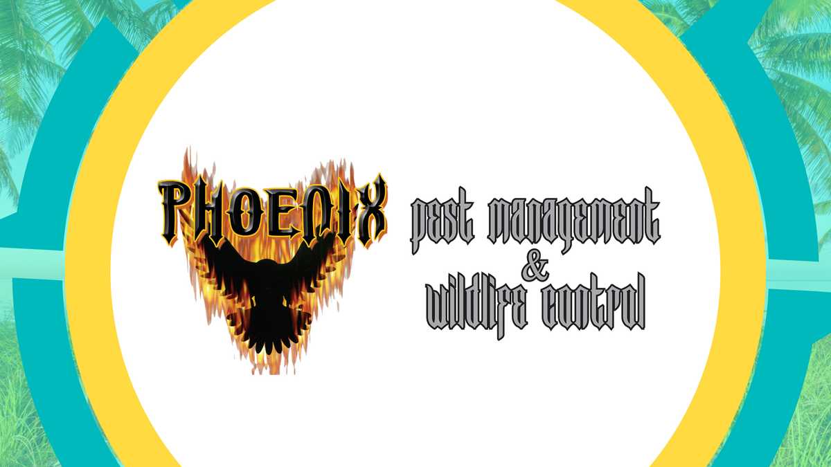 Phoenix Pest Management & Wildlife Control