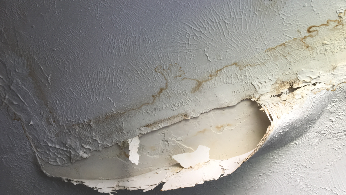 PHOTOS Taking you inside the Yale Park Apartments