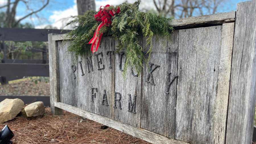 The region's newest Christmas tree farm has been in the works for three years
