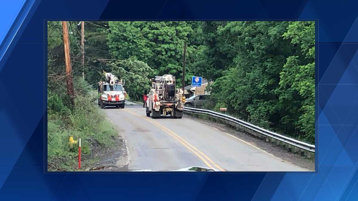 Fallen tree shuts down Saxonburg Boulevard